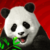 Wild Panda Slot Review