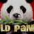 Wild Panda Slot Review