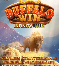Comprehensive buffalo win slot review